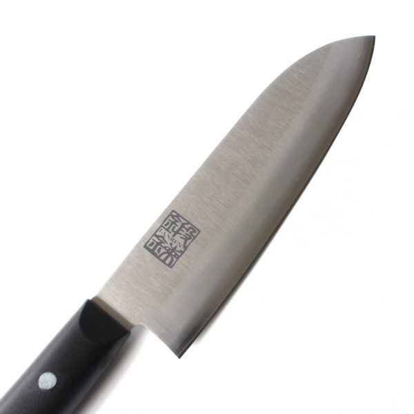 An all purpose knife focusing on its blade, shown diagonally