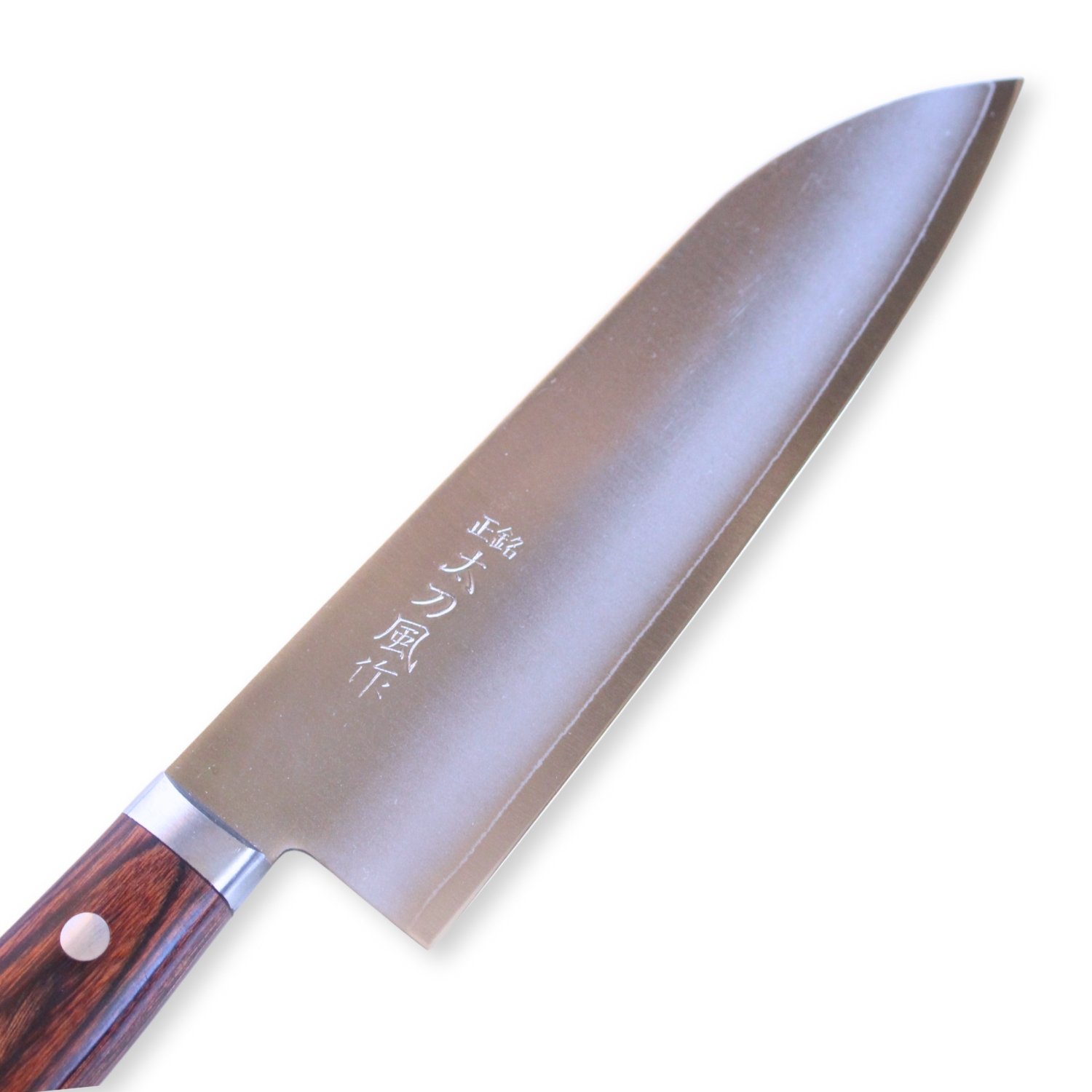 An all purpose knife focusing on its blade, shown diagonally