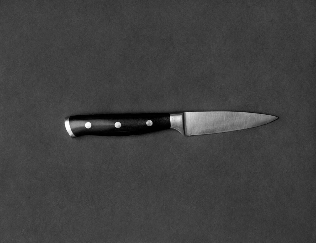 An image of a paring knife placed horizontally against a black background.