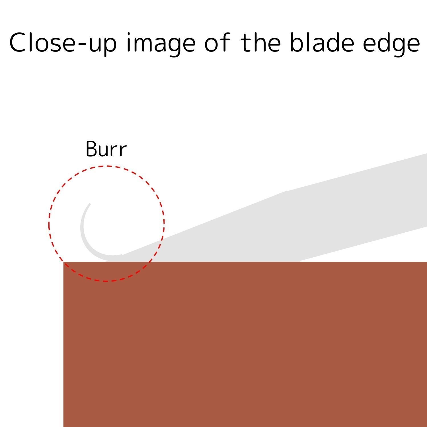 An illustration of a close-up view of a kitchen knife edge on a whetstone, with a burr highlighted in a red circle.