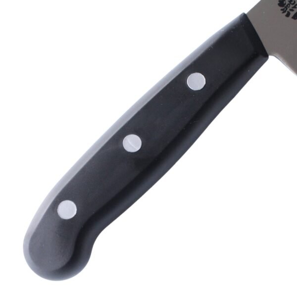 A kitchen knife focusing on its synthetic resin handle