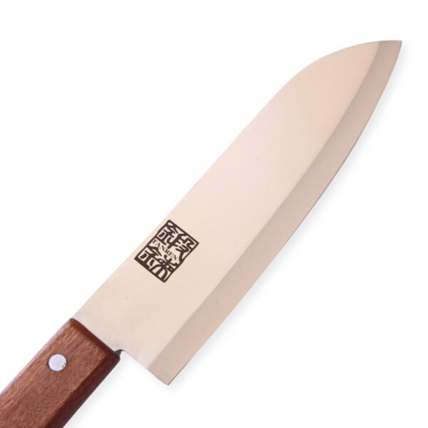An all purpose knife focusing on its blade, shown diagonally