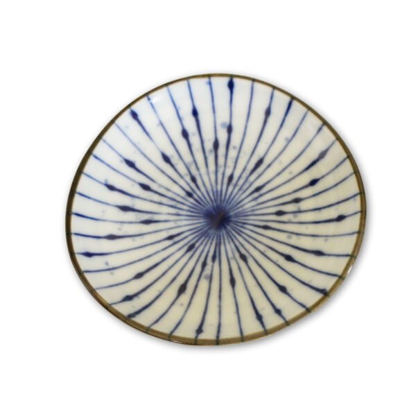 Top view of a small plate showing the entire design
